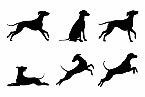 Black Dog Silhouettes