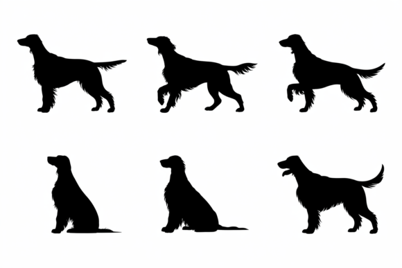 English Setter Dog Silhouette Poses