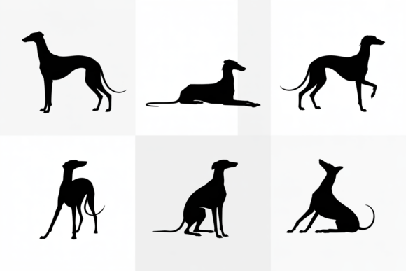 Greyhound Dog Silhouette Poses Review